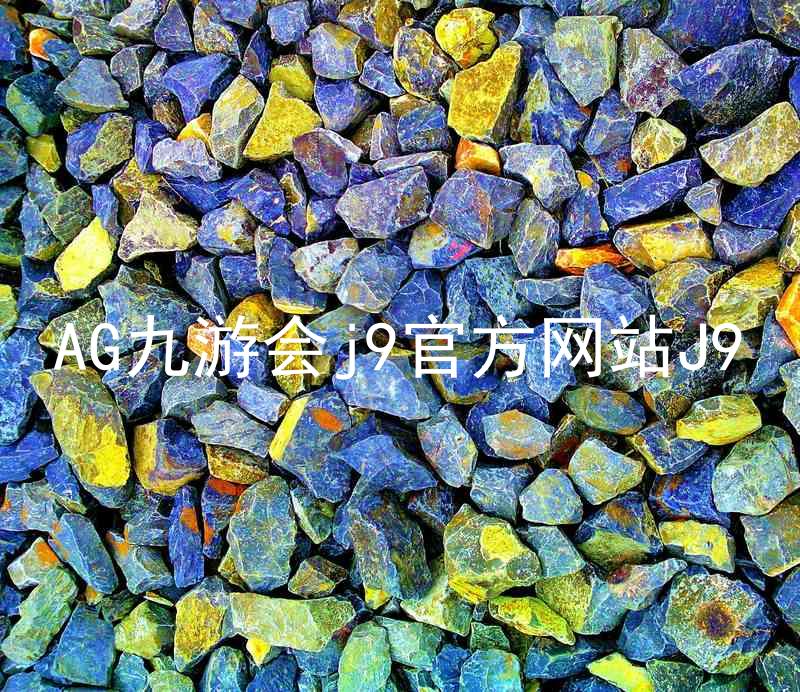 AG九游会j9官方网站J9